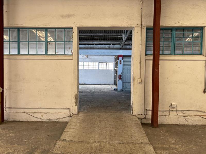 To Let Commercial Property for Rent in Deal Party Eastern Cape